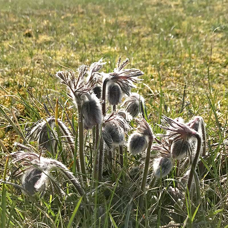 Du visar för närvarande Ny hemsida är på gång